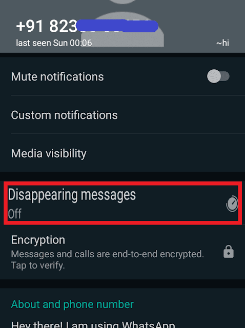 Disappearing  Messages' mode on WhatsApp