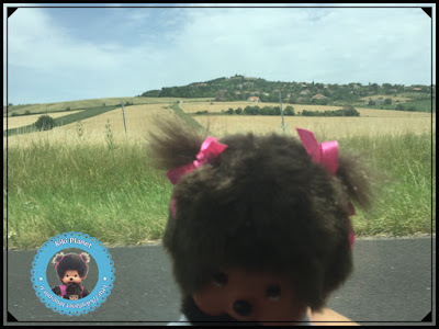 Diana la Monchhichi traverse Le Crest dans le Puy-de-Dôme