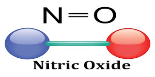 Nitric Oxide untuk mencegah stroke