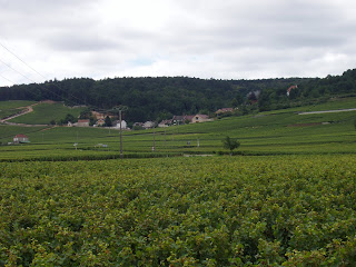 Dijon countryside