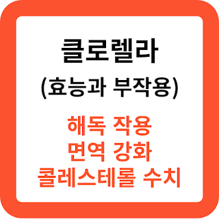 클로렐라-효능과-부작용