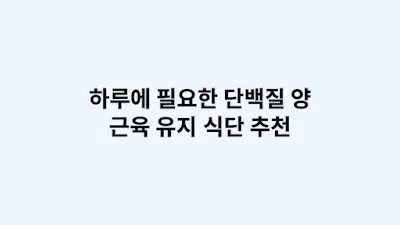 하루에 필요한 단백질 양과 근육 유지 식단 추천