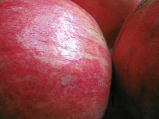Pomegranates, Photo (c) 2012 by Maja Trochimczyk