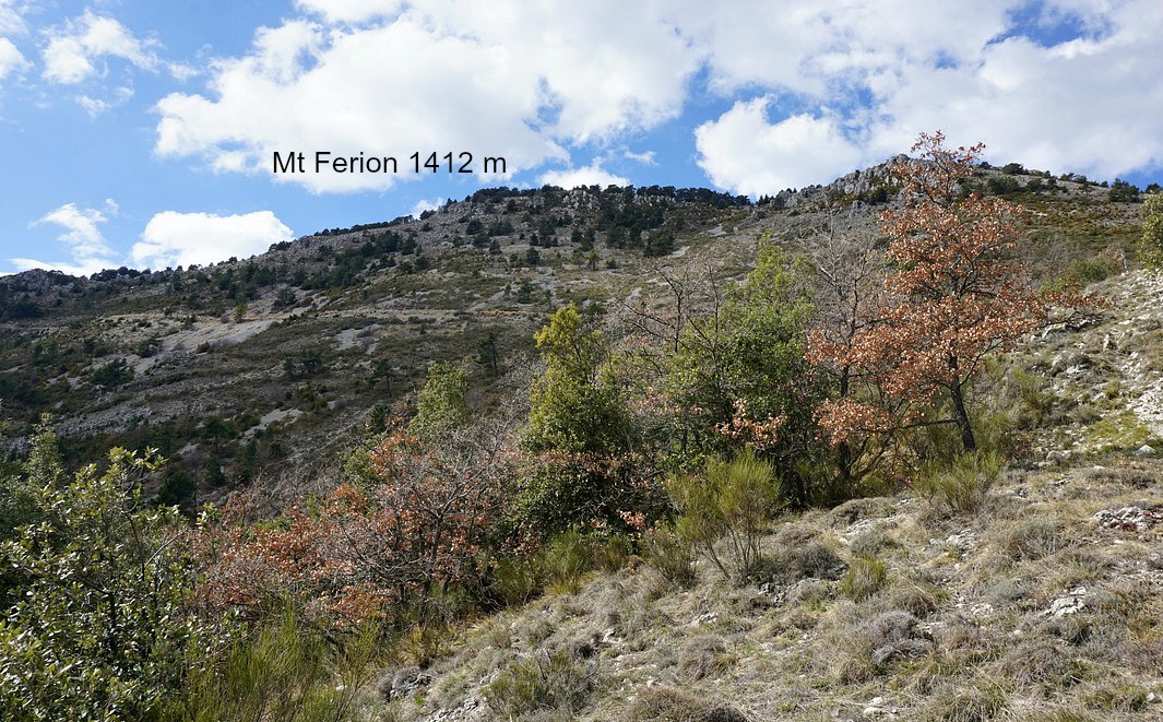 Mont Férion in sight