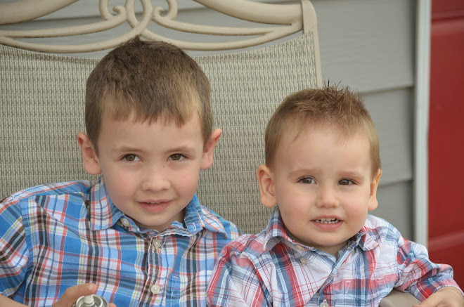 The Taylors