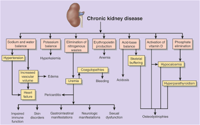 Chronic kidney ayurvedic treatment