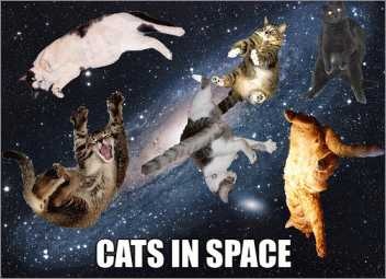 cats_space