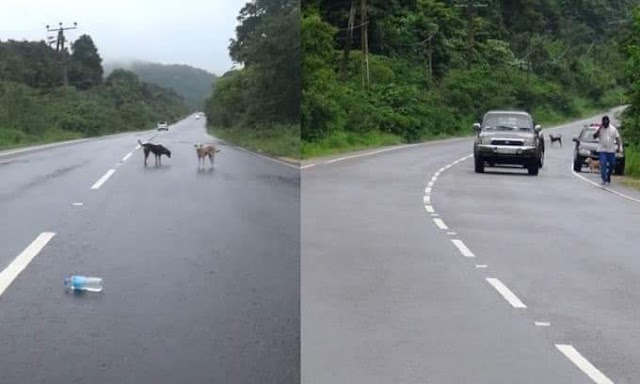 இலங்கையின் முதல் ஒளியியல் மாயை பாதை கண்டுபிடிக்கப்பட்டது