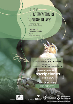 Taller identificación de Aves con José Carlos Sires