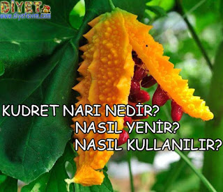 kudret narı nedir