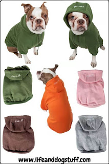 Super Cute Dog Shirts and Sweaters.