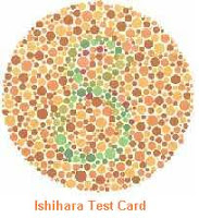 Test Buta Warna (Ishihara Test) Saat Sembuat SIM