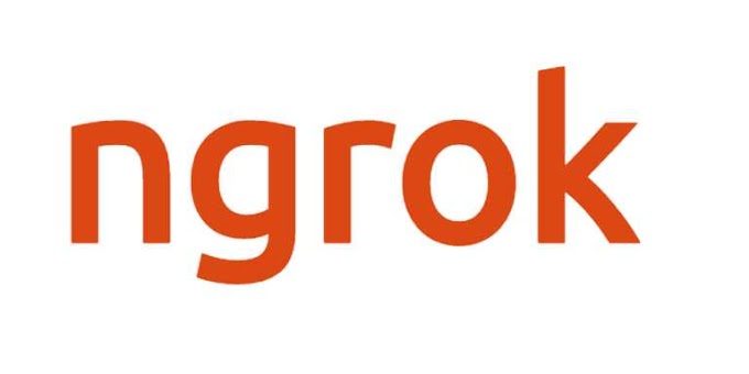 What is Ngrok ?