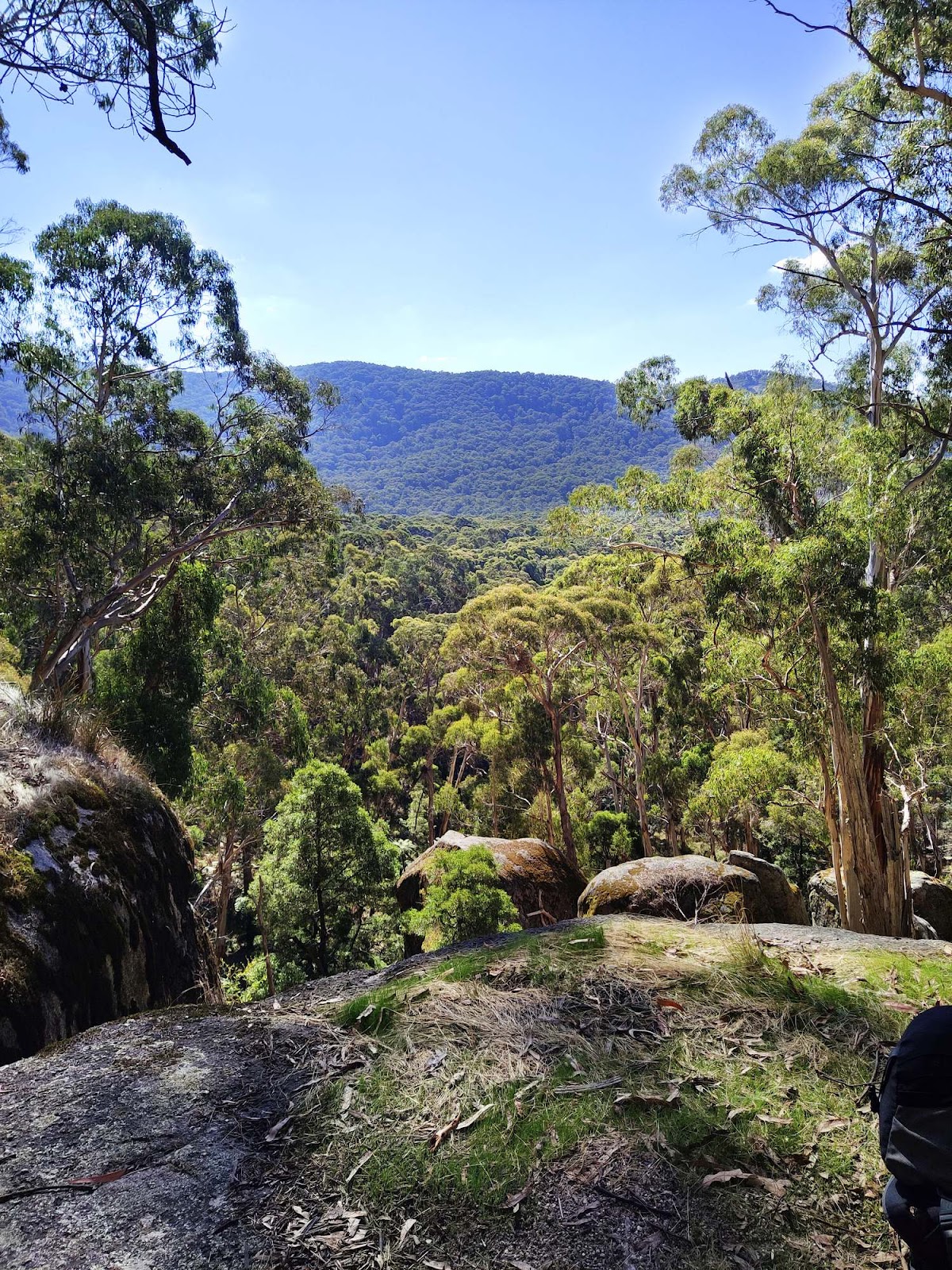 Raglan Falls Walk