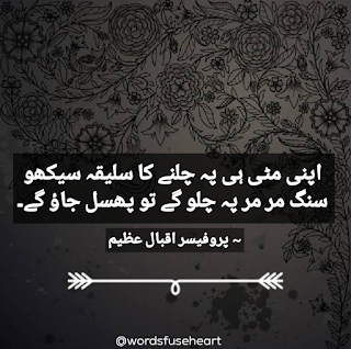 Best urdu Quote of the day