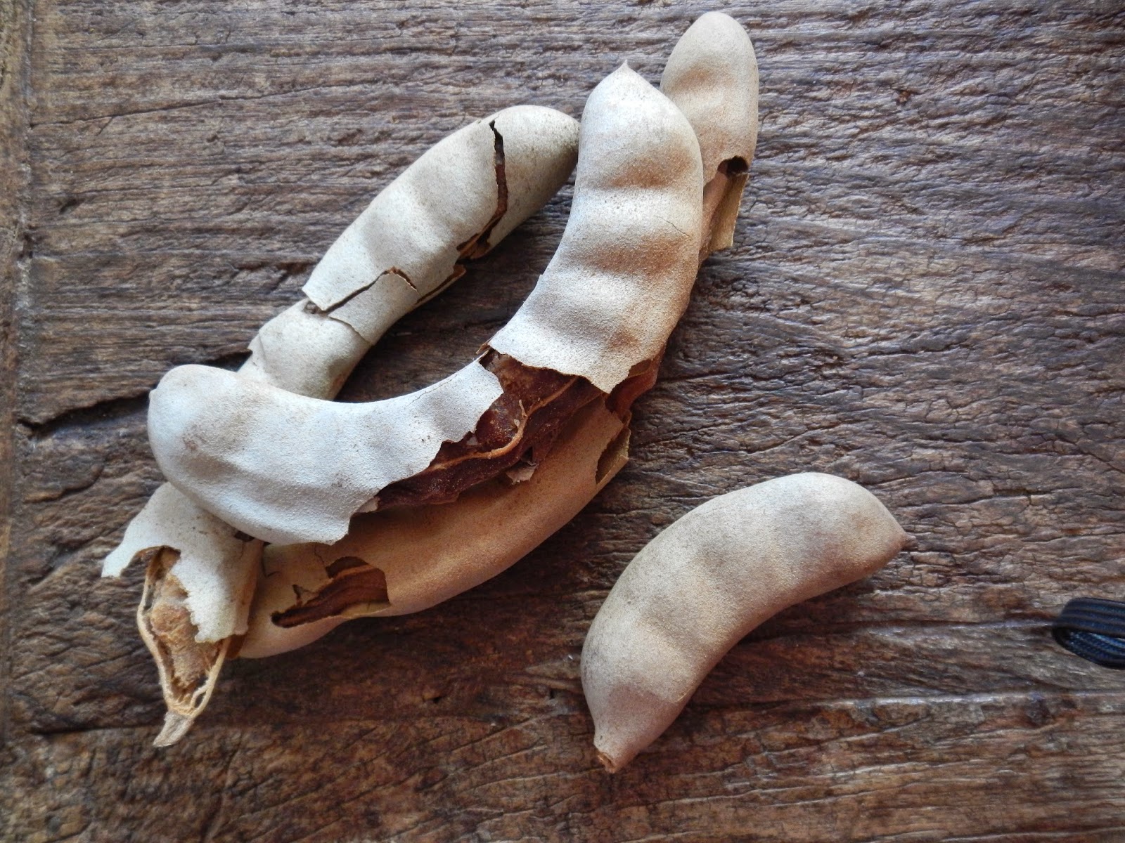 Flavors Of The Sun Tamarind Facts Fun And Recipes