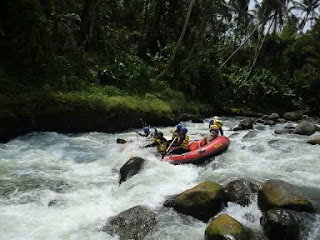 http://agenvimaxasli.com/lintah-oil-papua-asli/