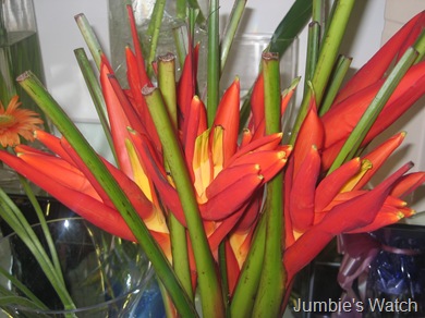 Flower 3