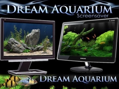 حول سطح مكتبك الى حوض سمك مع برنامج Dream Aquarium رائعه بالتفعيل