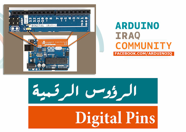 digital pins,الرؤوس الرقمية