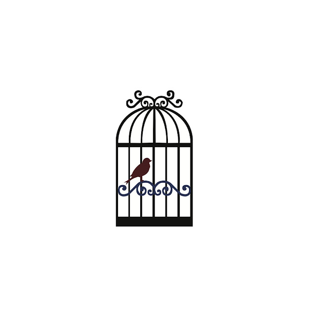 Bird Cage Pictures