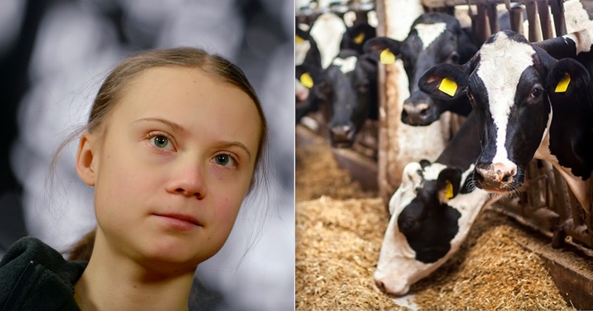 Greta Thunberg Wants To Save The Planet By Changing How Food Is Produced