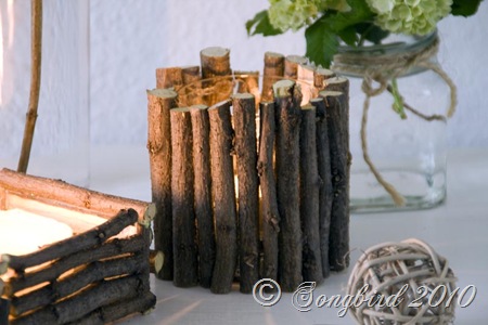 Twig vignette6