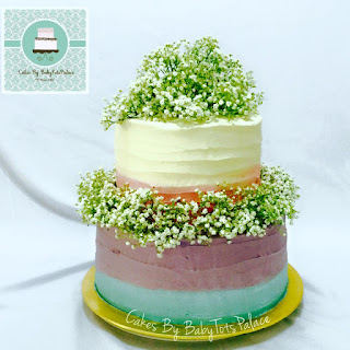 Ombre cakes SG