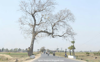 Haspura pachrukhiya Road. 