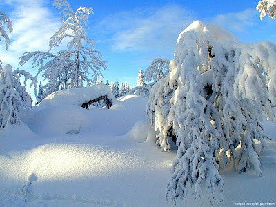 Snow desktop wallpapers and photos