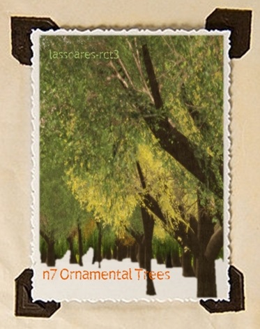 Ornamental Trees (n7) lassoares-rct3