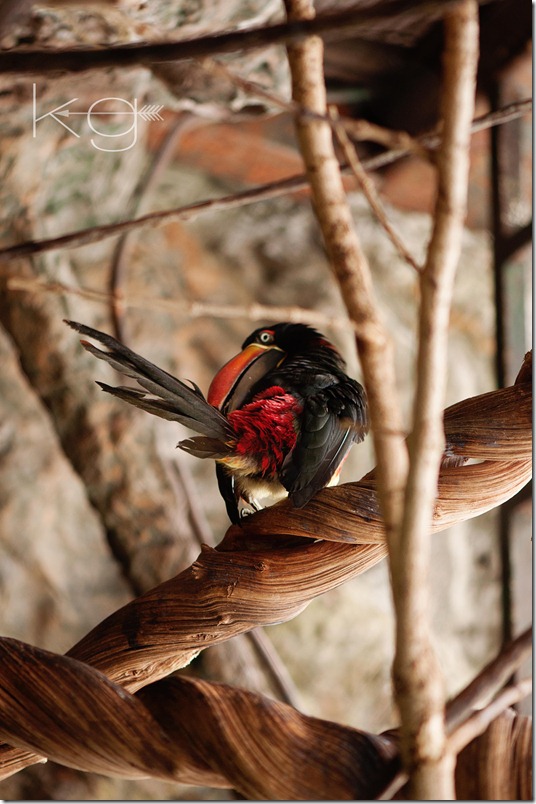 DSC_9333_blog
