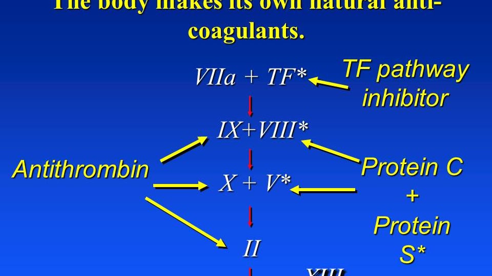 Anticoagulant - Natural Anticoagulants