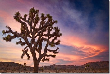 _MG_3673-Edit