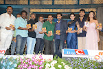 Rabhasa audio release function photos-thumbnail-102