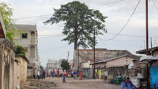 In the center are not many trees but the jungle is not far