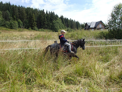 Orawa, Lipnica Wielka, Babia Góra, konie, kucyki, jazda konna, szkolenie koni, jazdy w terenie