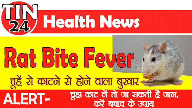 Rat Bite Fever | रैट बाइट फीवर: | चूहे के काटने से होने वाला बुखार 