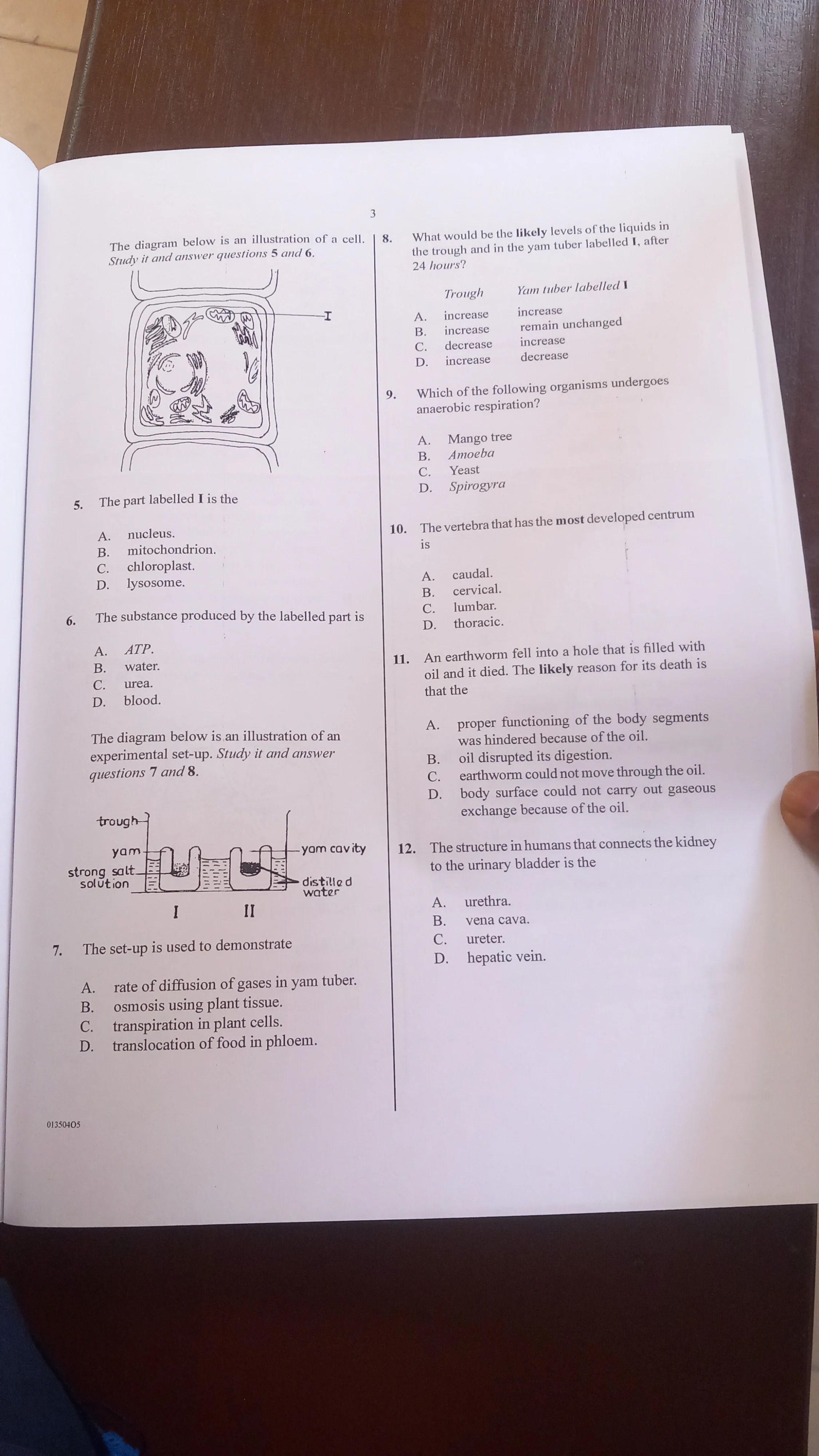 WAEC GCE Biology Past Questions And Answers - Objective