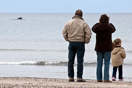 Whale watching beach , Valdes Penisula near from Puerto Madryn