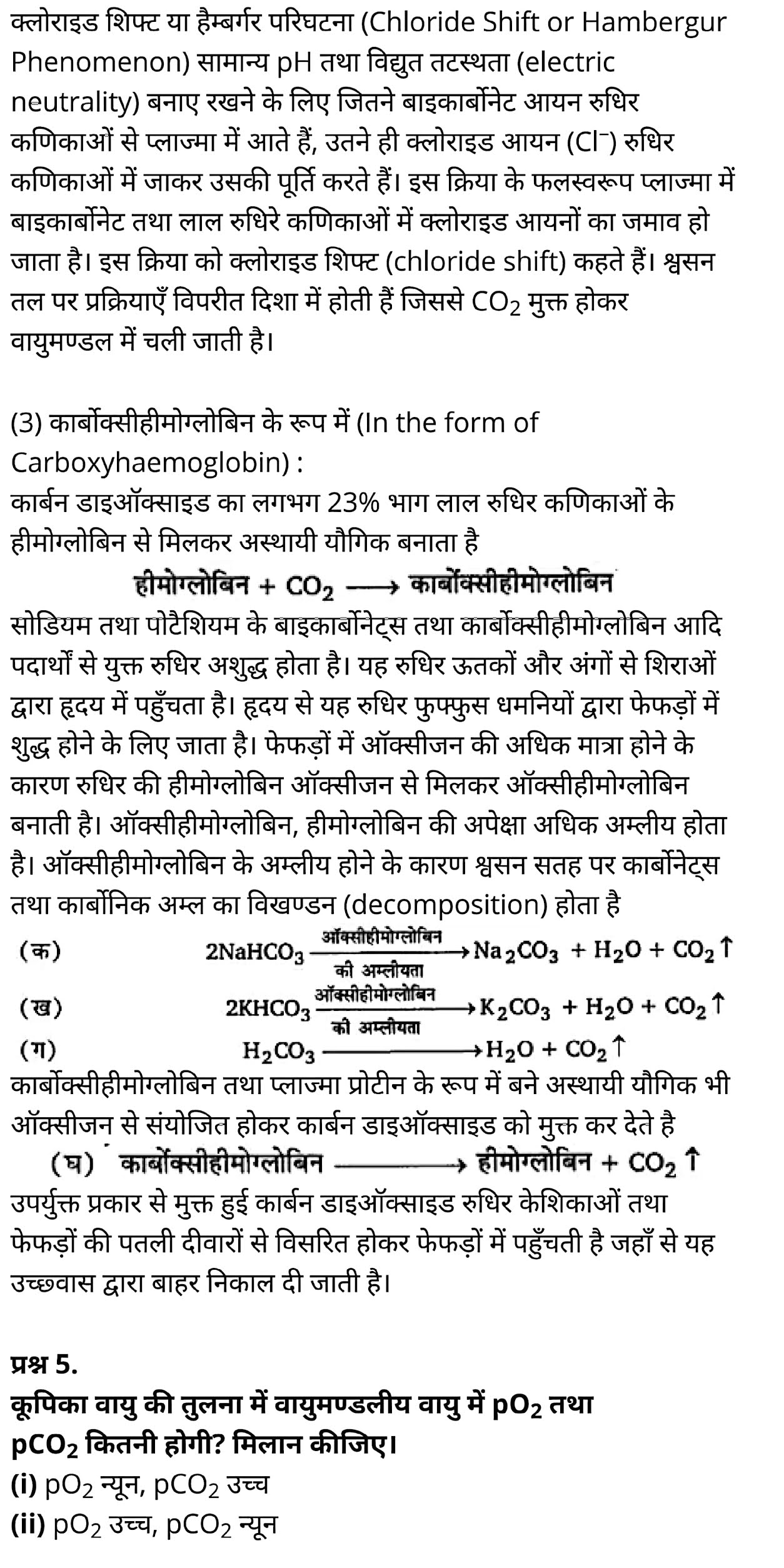 कक्षा 11 जीव विज्ञान अध्याय 17 के नोट्स हिंदी में एनसीईआरटी समाधान,   class 11 Biology Chapter 17,  class 11 Biology Chapter 17 ncert solutions in hindi,  class 11 Biology Chapter 17 notes in hindi,  class 11 Biology Chapter 17 question answer,  class 11 Biology Chapter 17 notes,  11   class Biology Chapter 17 in hindi,  class 11 Biology Chapter 17 in hindi,  class 11 Biology Chapter 17 important questions in hindi,  class 11 Biology notes in hindi,  class 11 Biology Chapter 17 test,  class 11 BiologyChapter 17 pdf,  class 11 Biology Chapter 17 notes pdf,  class 11 Biology Chapter 17 exercise solutions,  class 11 Biology Chapter 17, class 11 Biology Chapter 17 notes study rankers,  class 11 Biology Chapter 17 notes,  class 11 Biology notes,   Biology  class 11  notes pdf,  Biology class 11  notes 2021 ncert,  Biology class 11 pdf,  Biology  book,  Biology quiz class 11  ,   11  th Biology    book up board,  up board 11  th Biology notes,  कक्षा 11 जीव विज्ञान अध्याय 17, कक्षा 11 जीव विज्ञान का अध्याय 17 ncert solution in hindi, कक्षा 11 जीव विज्ञान  के अध्याय 17 के नोट्स हिंदी में, कक्षा 11 का जीव विज्ञान अध्याय 17 का प्रश्न उत्तर, कक्षा 11 जीव विज्ञान अध्याय 17 के नोट्स, 11 कक्षा जीव विज्ञान अध्याय 17 हिंदी में,कक्षा 11 जीव विज्ञान  अध्याय 17 हिंदी में, कक्षा 11 जीव विज्ञान  अध्याय 17 महत्वपूर्ण प्रश्न हिंदी में,कक्षा 11 के जीव विज्ञानके नोट्स हिंदी में,जीव विज्ञान  कक्षा 11 नोट्स pdf,