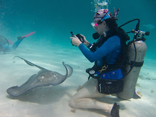 underwater digital camera, underwater photography