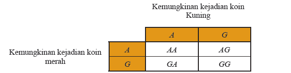 sampel 2