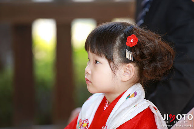 御香宮神社で七五三出張撮影