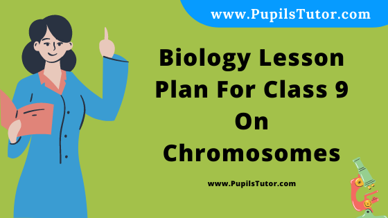 Free Download PDF Of Biology Lesson Plan For Class 9 On Chromosomes Topic For B.Ed 1st 2nd Year/Sem, DELED, BTC, M.Ed On Macro Teaching Skill In English. - www.pupilstutor.com