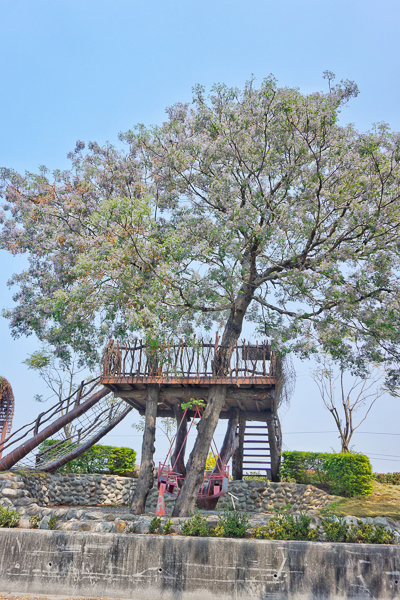 雲林莿桐樹子腳堤防公園苦楝花樹屋希望鳥巢、苦楝花觀景台