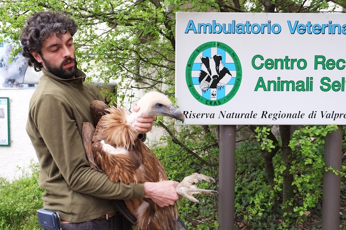 Cras, WWF Basilicata: "Situazione al tracollo"