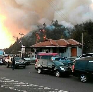 Kebakaran Hutan Di Gunung Lawu Semakin Mendekati Pemukiman Warga