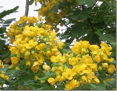 clip_image001