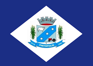 Bandeira de Pintópolis MG